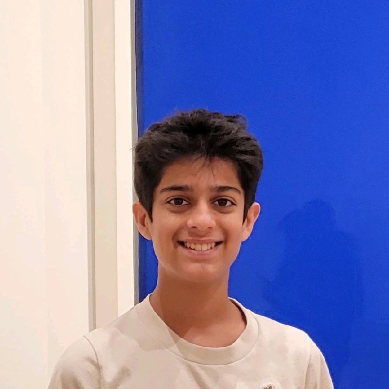 Photo of a handsome person named Ronak Ramnani